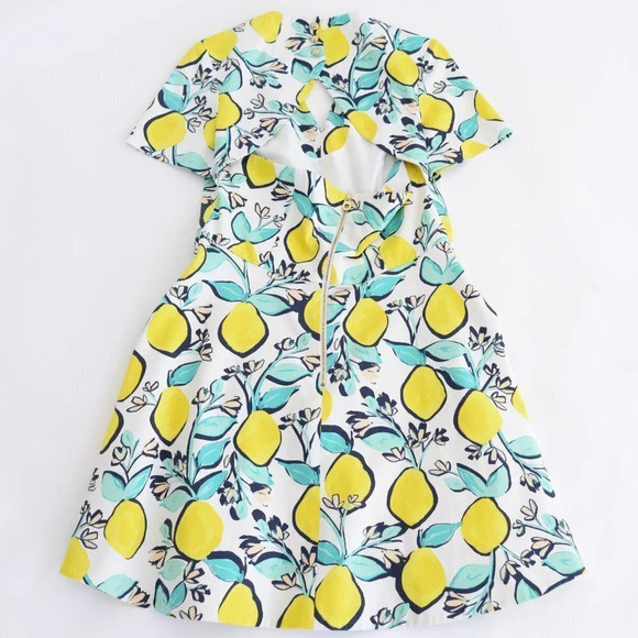 Draper James Lemon Orchard Love Circle White & Yellow Fit & Flare Dress 12 - Picture 14 of 15